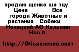 продаю щенка ши-тцу › Цена ­ 10 000 - Все города Животные и растения » Собаки   . Ненецкий АО,Нельмин Нос п.